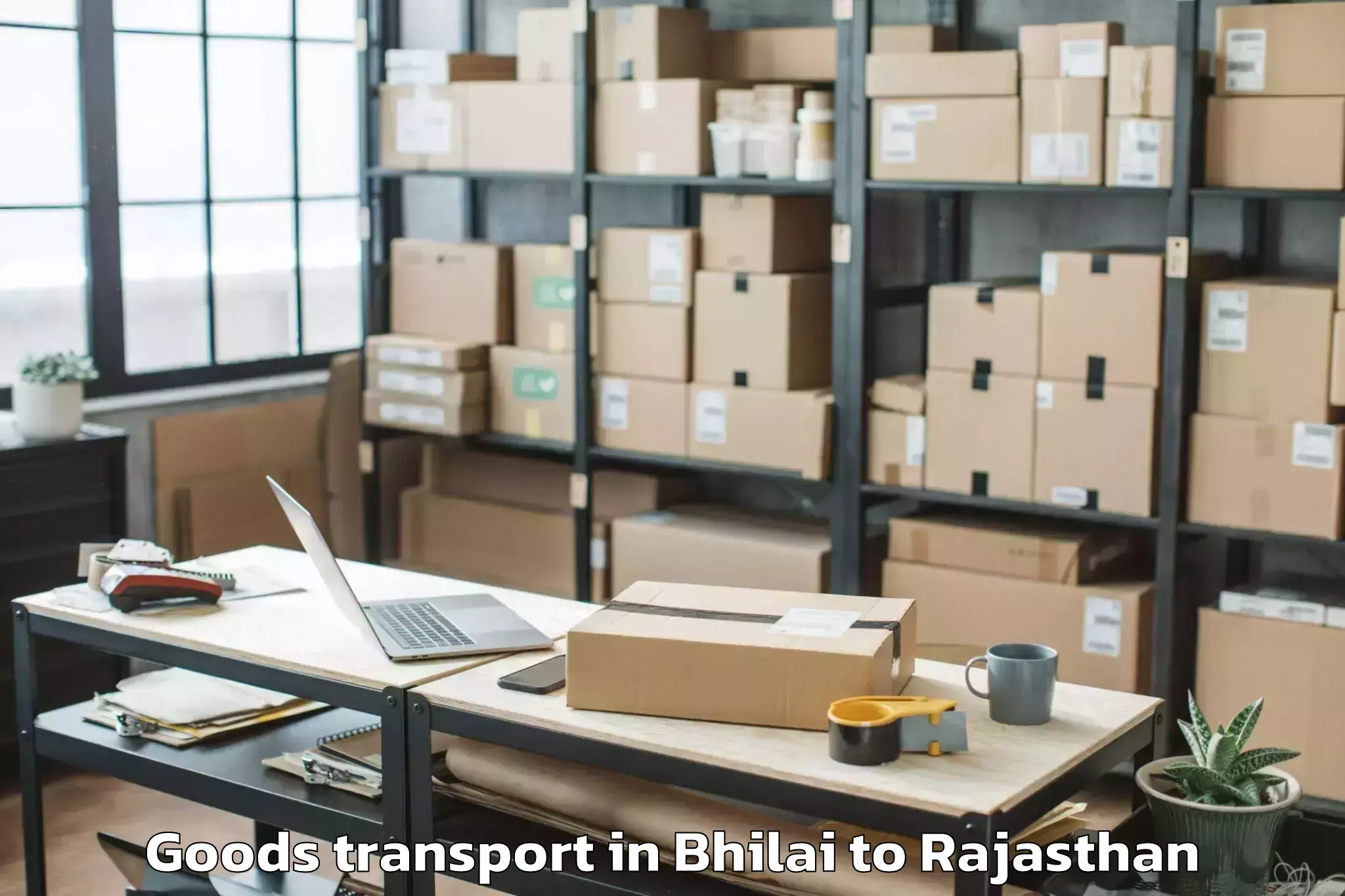 Hassle-Free Bhilai to Dariba Goods Transport